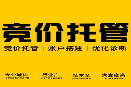 竞价广告如何助力XX企业实现业绩增长